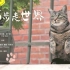 【纪录片】猫步走世界【三角字幕组合集】