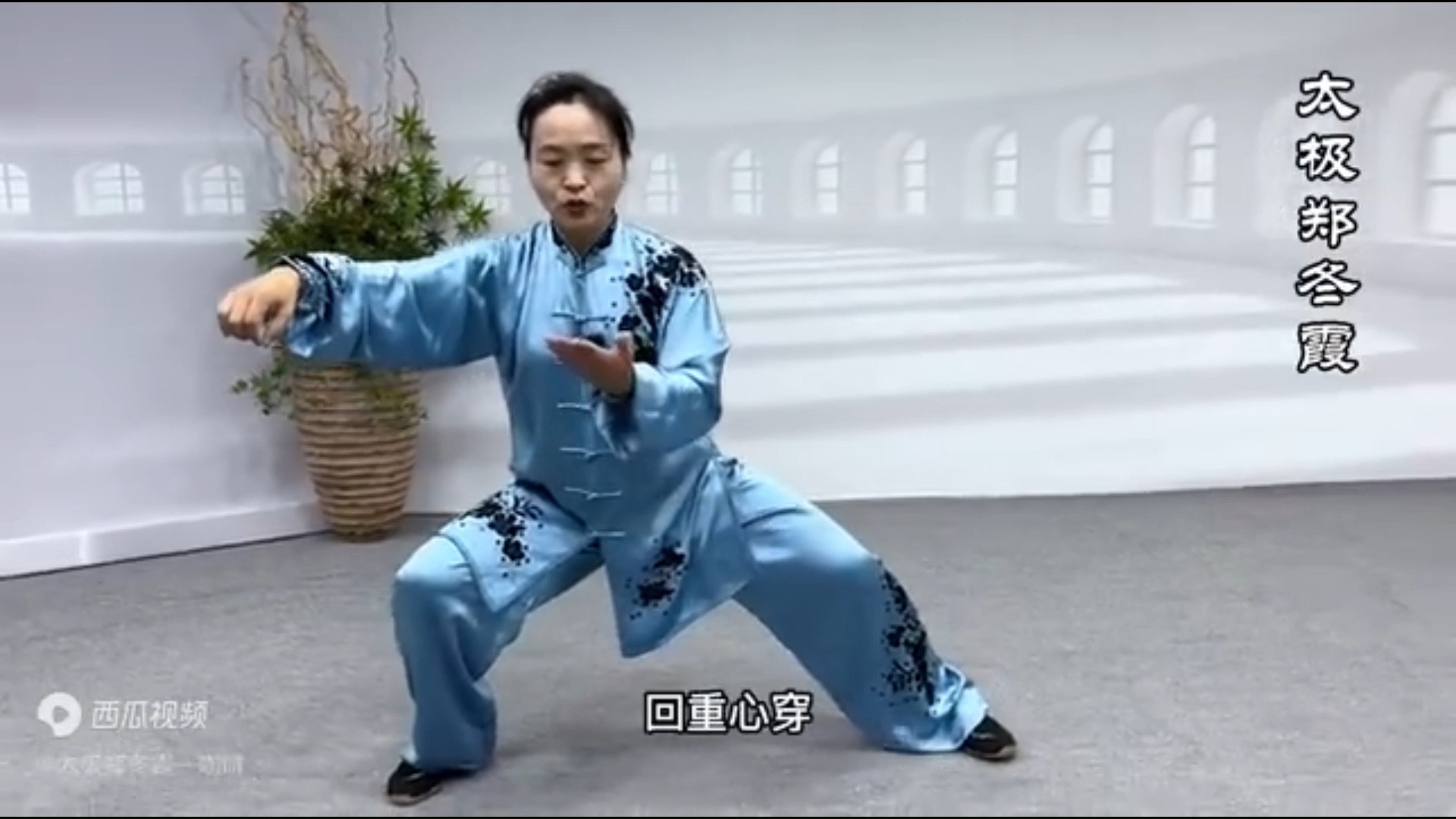 陈式太极拳老架一路74式-郑冬霞老师口令版