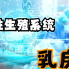 [微课视频]女性生殖系统-乳房