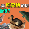 被人类吃灭绝的动物，从50亿只到彻底消失，仅仅用了100年