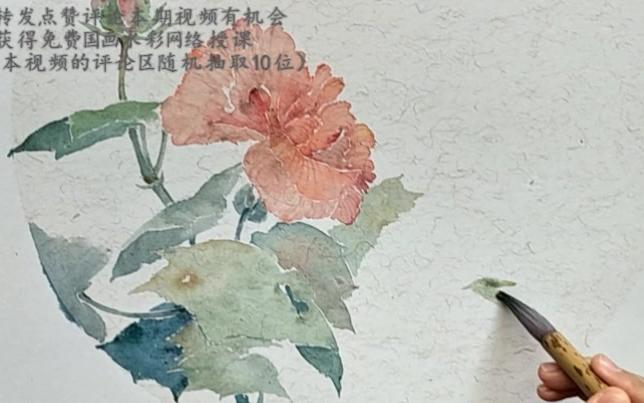 芙蓉花 ★转发点赞评论本期视频有机会 获得免费国画水彩网络授课 (在