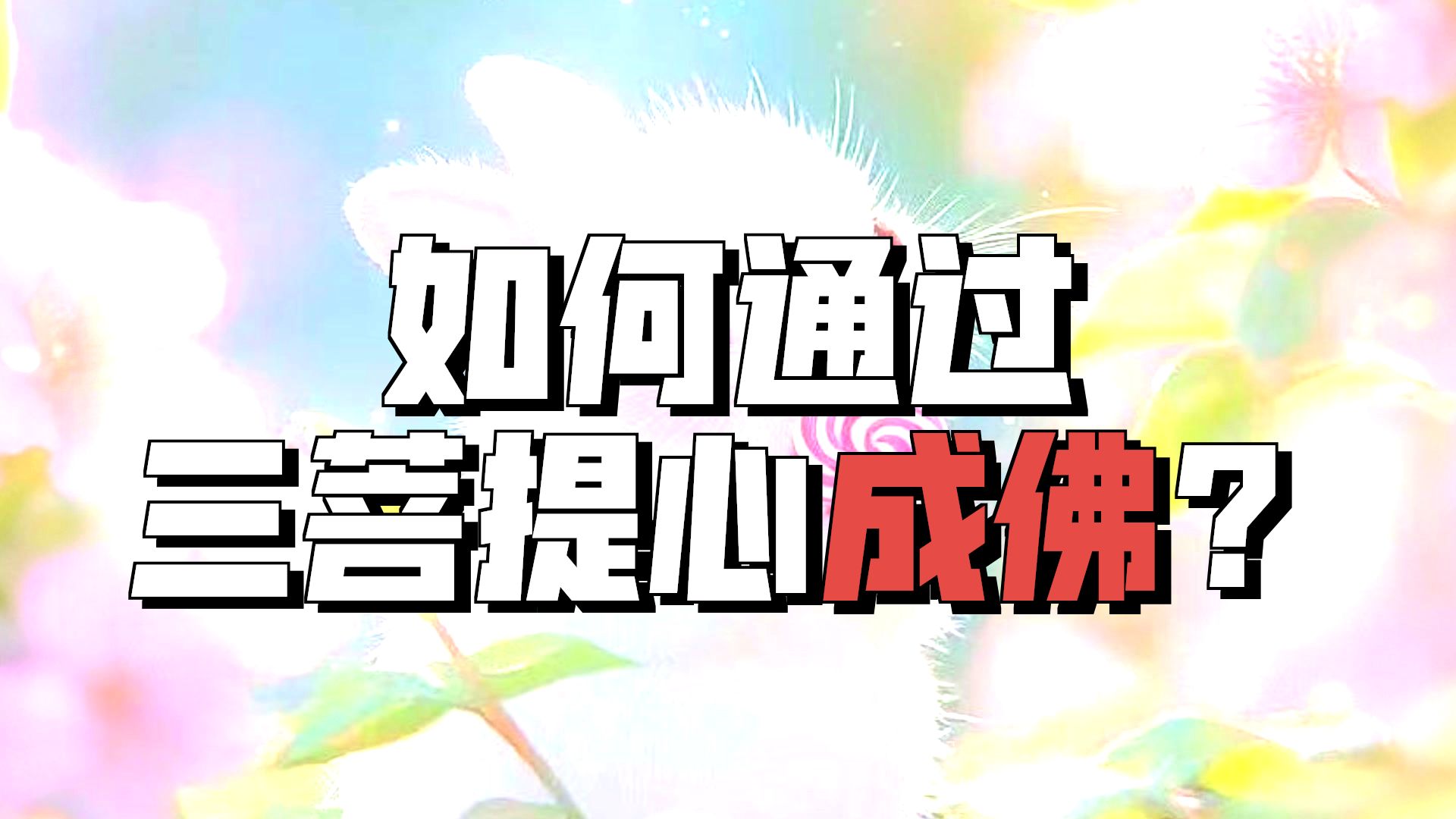 体佛法师开示：成佛不离菩提心