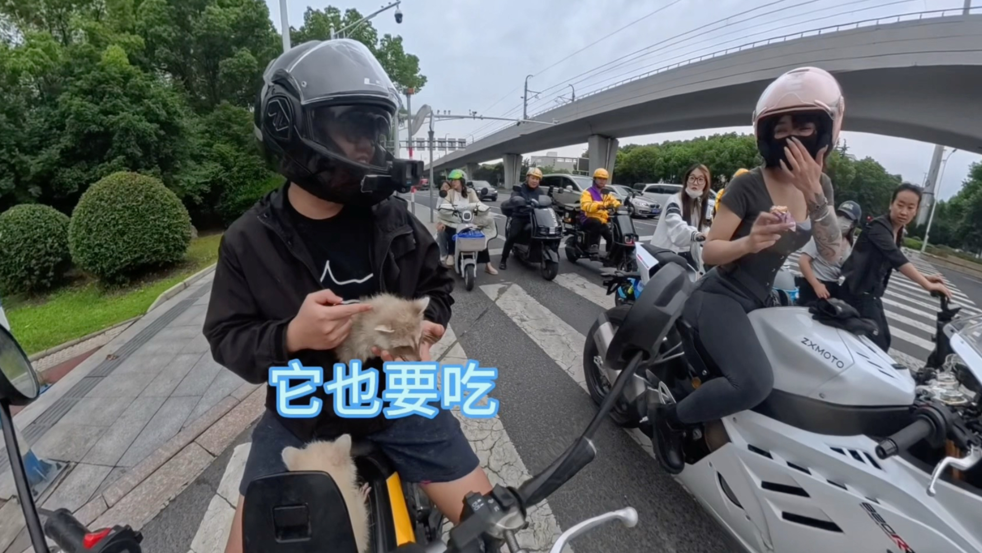 小伙带着俩浣熊直接找小姐姐要吃剩下的面包？