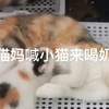 一生都在阅读理解的中国人在此刻具象化