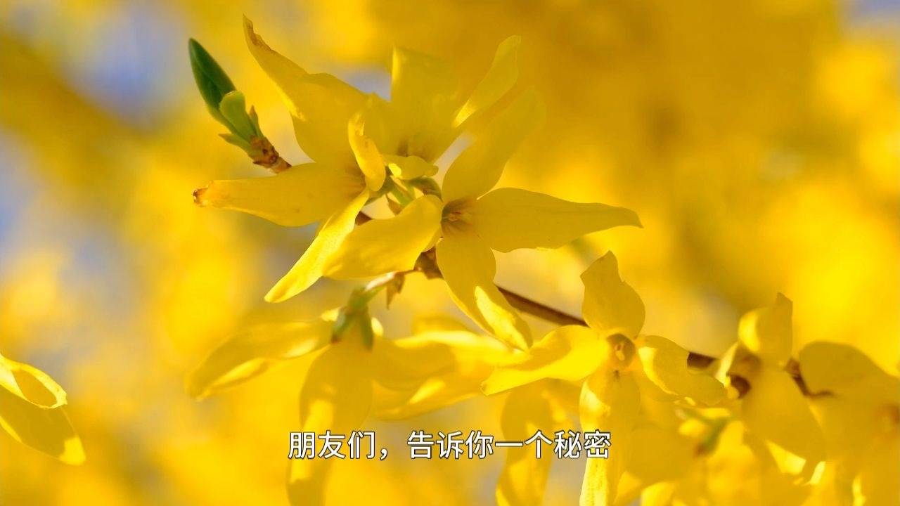 如何在日常行住坐卧中进行正念实修训练？如果你平时身体有很多问题，这期内容一定不要错过！