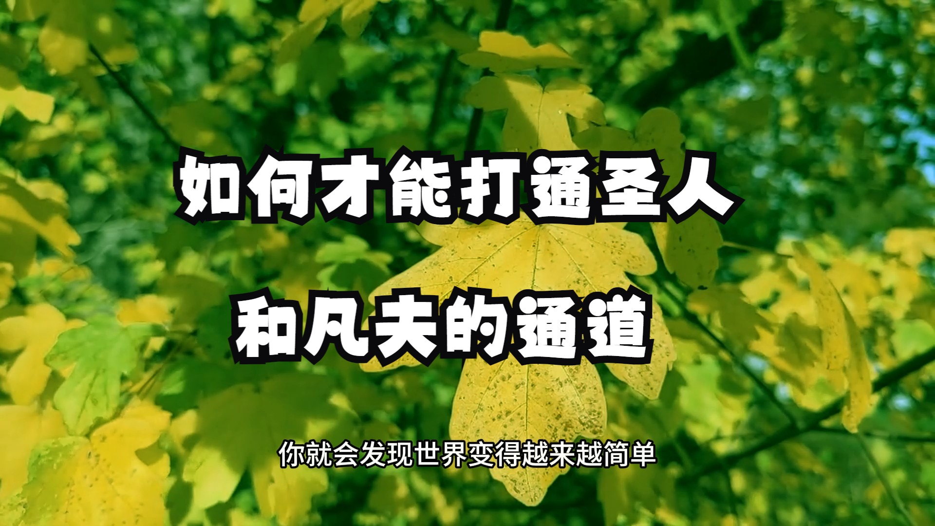 如何才能打通圣人和凡夫的通道呢？关键点在与你身上的这种能力！人生如戏，戏如人生！