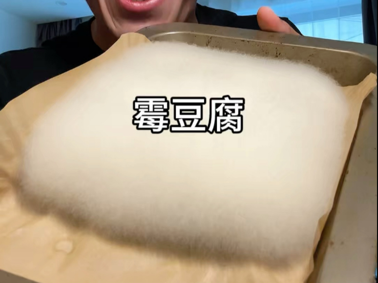 霉豆腐真的太像雪了！太好玩了！