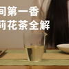 【清山茶事】全方位解析茉莉花茶