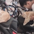 男生骑车看到座椅上睡了只猫，开口就叫宝贝，随后举动网友沦陷了