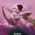 Cupid最好听的Remix || FIFTY FIFTY - Cupid (Gustixa Version)