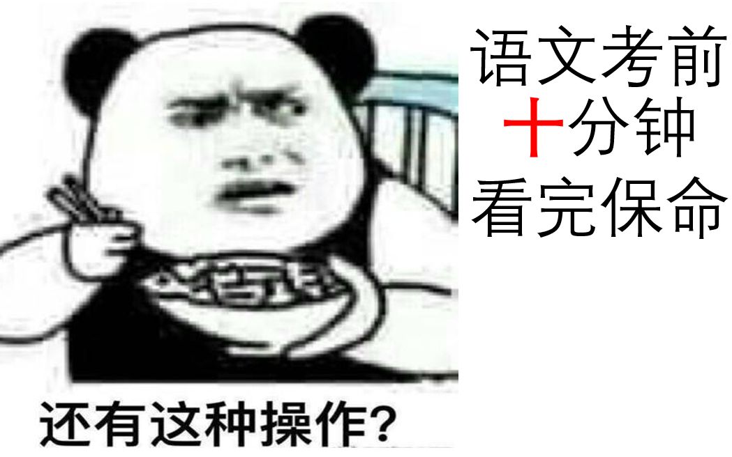 语文考前必看