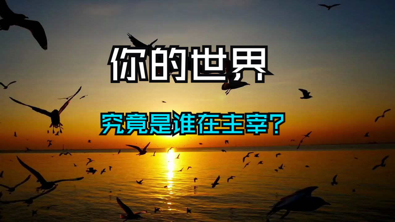 你的世界，究竟是谁在主宰？你被选中了，觉悟之路，人人皆可走！