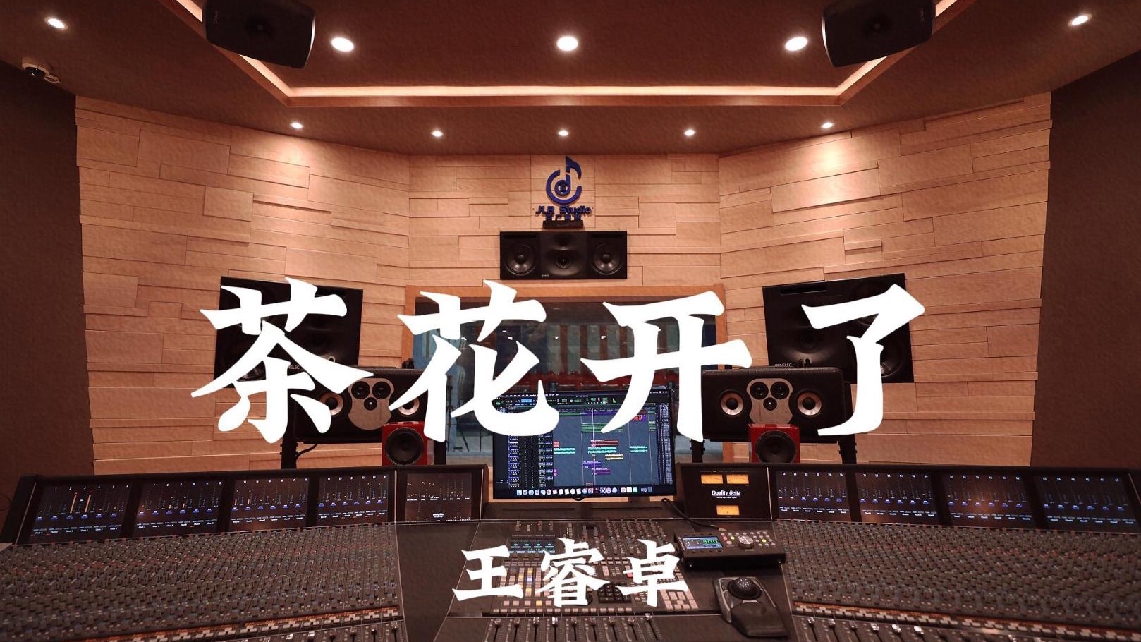 王睿卓《茶花开了》百万豪装录音棚大声听