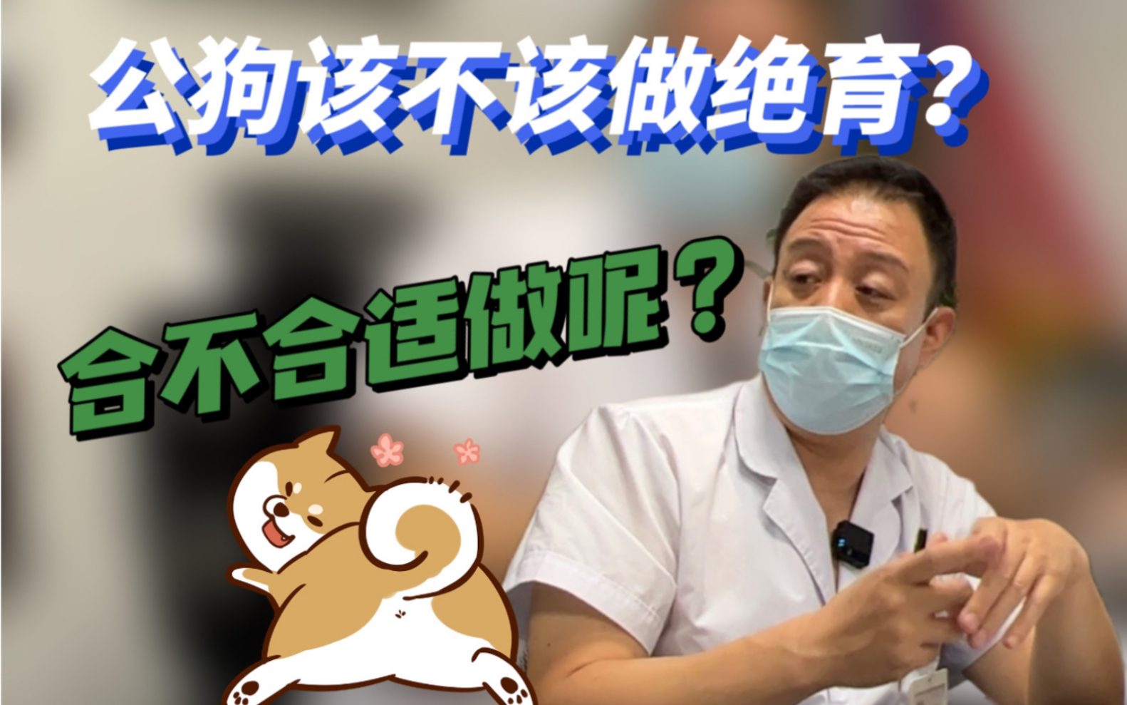 公狗该不该做绝育？蕞全攻略 ！注意事项！一篇合集全部讲清楚！