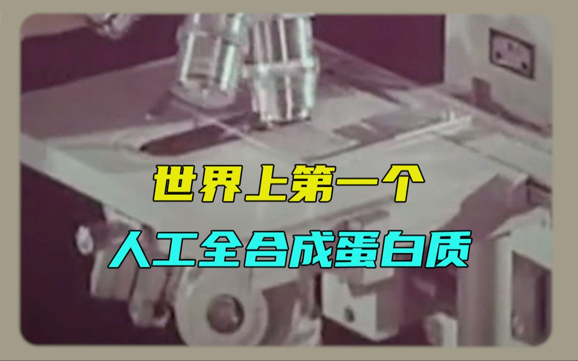 世界上第一个人工全合成蛋白质