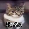 【生豆角饭】视频加载中，速速查收惊喜