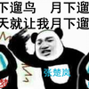 【一人之下513见面会】观众席视角的夏侯落枫与小连杀+《幺妹儿冯宝宝