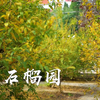 安徽萧县绿色学校，生机一中