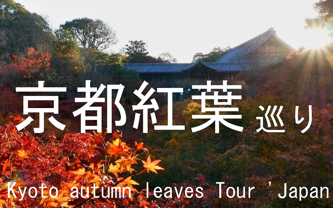 4k 京都红叶17 Kyoto Autumn Leaves Tour Japan 哔哩哔哩 つロ干杯 Bilibili