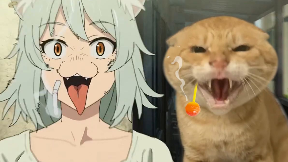 🐱尼 古 哈 喵🐱