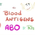ABO Blood Antigens and Rh (D Antigen) | Biology