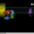 G蛋白耦联受体介导的信号转导