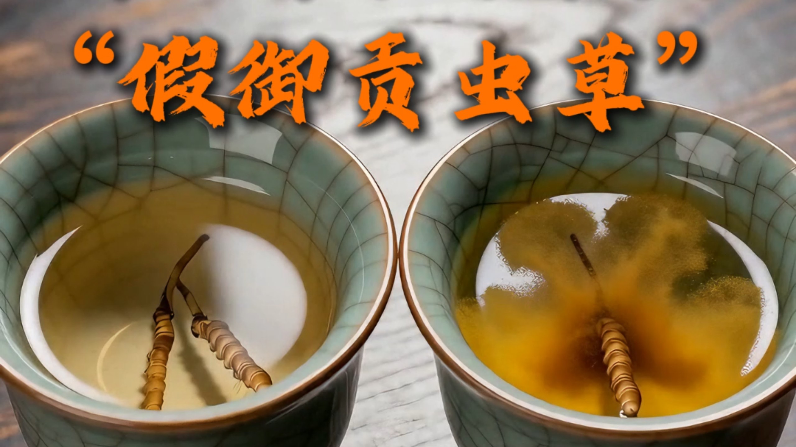 李一手和小石头“假御贡虫草”