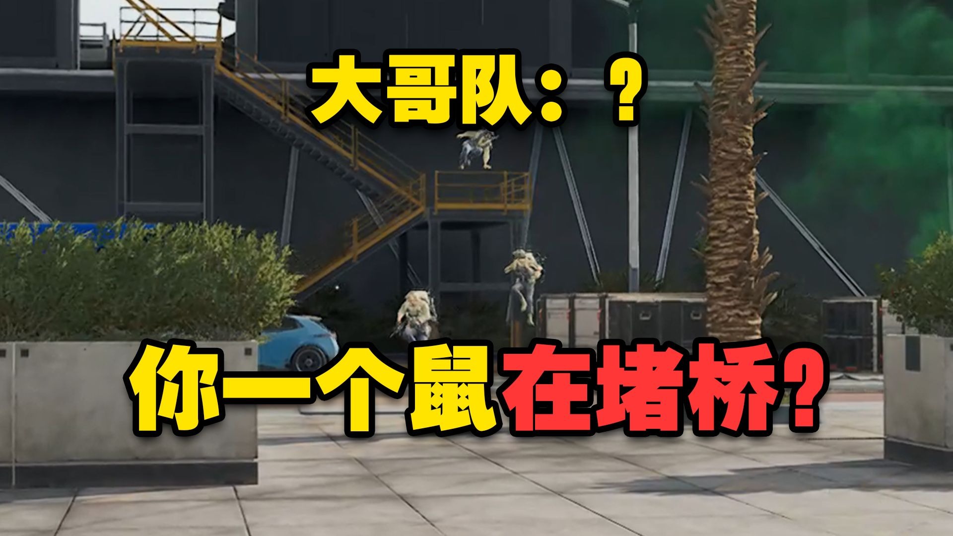 【老柠萌】当鼠鼠想撤离跑到桥上乱看被大哥队发现