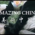 美丽中国｜如何向歪果仁介绍国宝大熊猫！｜中级英语听口素材｜憨态可掬的熊猫宝宝！！！太可爱了叭~