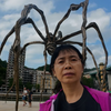 毕尔巴鄂内尔维翁河边，欣赏世界上最昂贵的蜘蛛