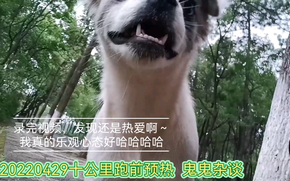 鬼鬼杂谈20220429