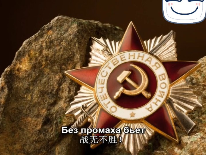 我们的近卫军☭