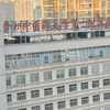 随手拍