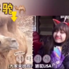 Lisa:偶像什么，什么包袱？做爱豆么，开心最重要，其余的等嗨完之后再说