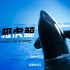 【纪录片】北极虎鲸 4K超清 中文字幕 Killer Whales-Fins Of Change（2014）