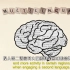 「Ed-快科普/4P字幕」多学一门语言有什么好处？学习双语对大脑的益处/The benefits of a biling