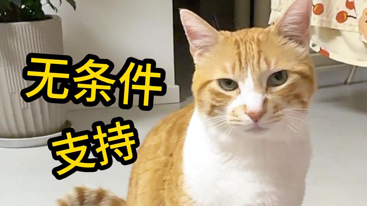 妈妈，我挺你！