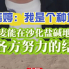 邝翡婷：我是个种地的，小黑麦能在沙化盐碱地种植，是各方努力的结果