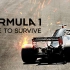 【网飞Netflix原创剧集】2020【十集全】【英语中字】Formula 1: Drive to Survive Se