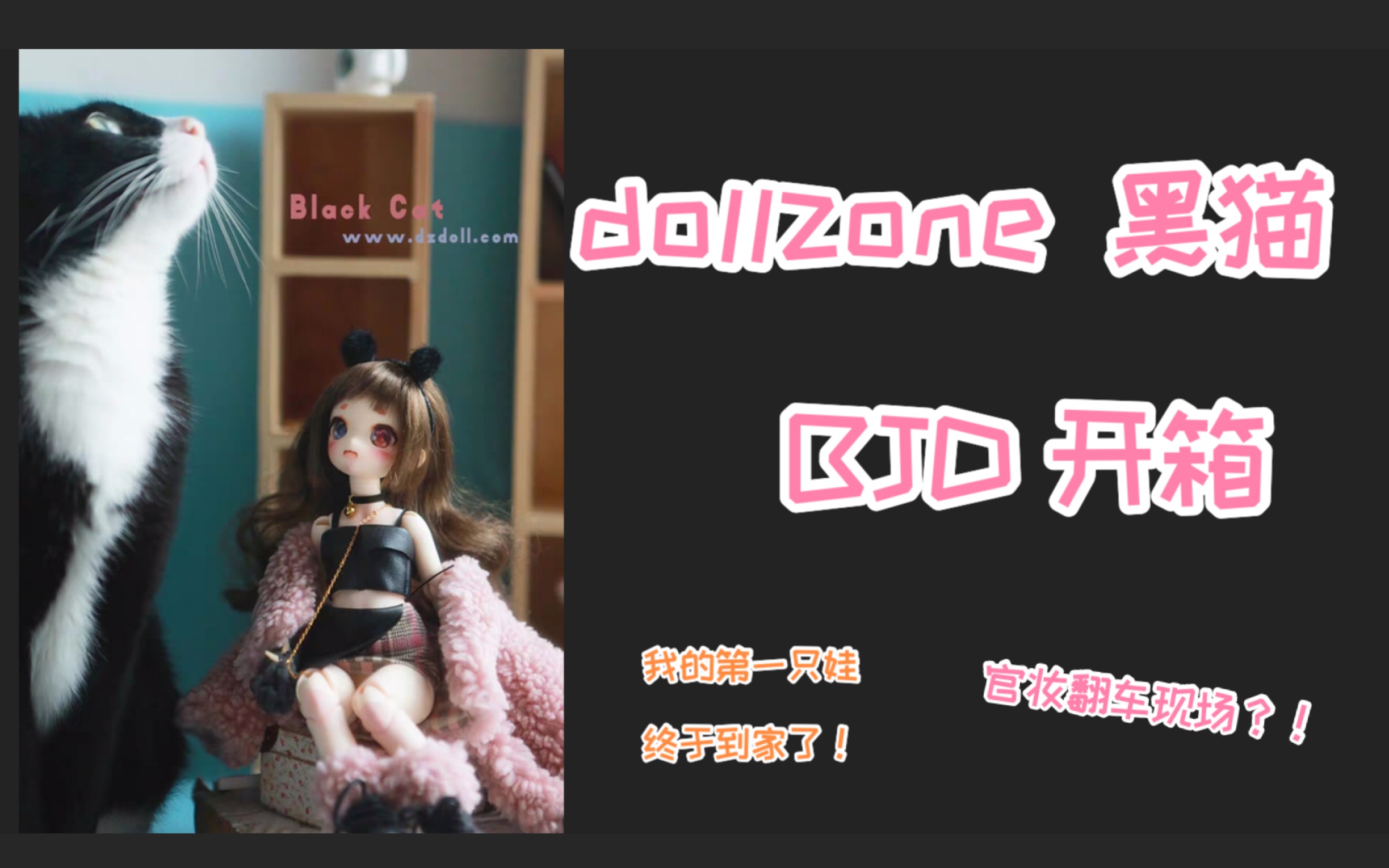 【bjd开箱|dollzone】dz黑猫 粉肌大全套开箱(娃恐勿入!