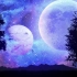 【Luna Magic】女巫梦幻紫魔法森林白噪音单曲｜432Hz｜魔法疗愈助眠