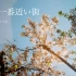 【MV】春に一番近い街（离春天最近的街道） ／ 40mP(cover) 天月-