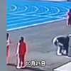 抚顺逸夫小学7岁学生猝死事件：家属质疑学校救治不及时