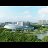 东华大学丨疫情封校也阻挡不了的春天
