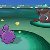 pokemmo 黑鬼森林20组毕业