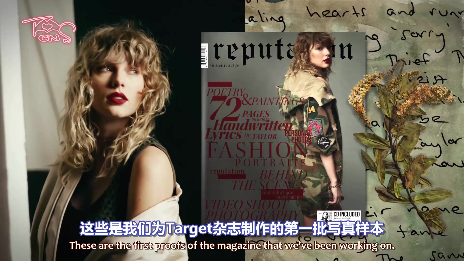 【TSCN】【中英字幕】reputation Target杂志版专辑广告哔哩哔哩bilibili