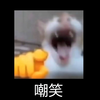 100多个音效素材合集_CFHD