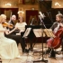 贝多芬-D大调钢琴三重奏·幽灵三重奏 Ghost Trio-Beethoven Op.70 No.1-Petryshak