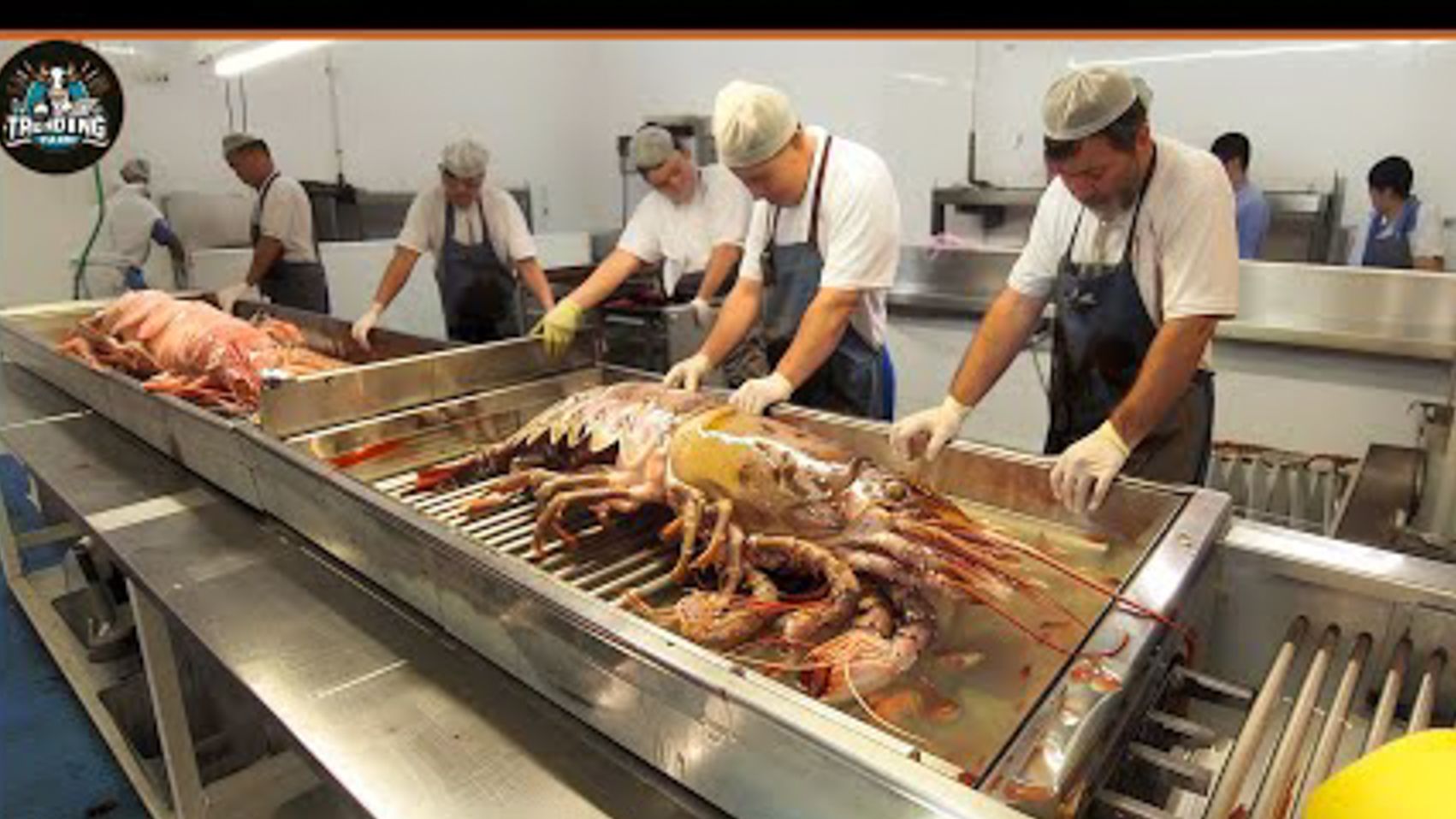 美国渔民如何通过加工数百万吨虾赚取300万美元-机翻字幕