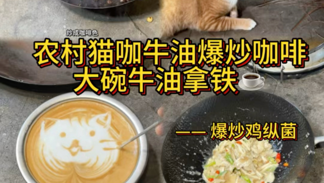 农村猫咖的日常，爆炒牛油咖啡，爆炒鸡纵菌